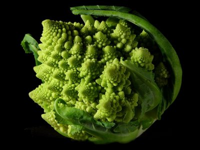 [Fractal_Broccoli[1].jpg]