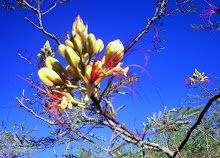 Mi foto