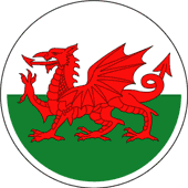 The red Welsh dragon on a green and white field