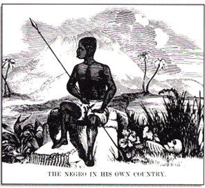 Ap American History Slavery