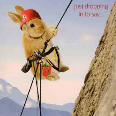 [Just+dropping+In+abseiling+rabbit+card.jpg]