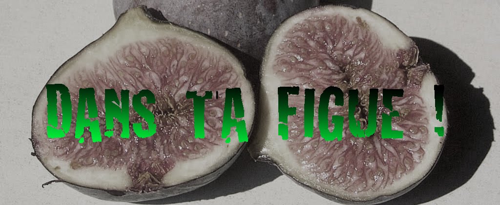 Dans Ta Figue !