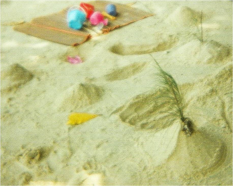 [06+sand+barnacle.jpg]