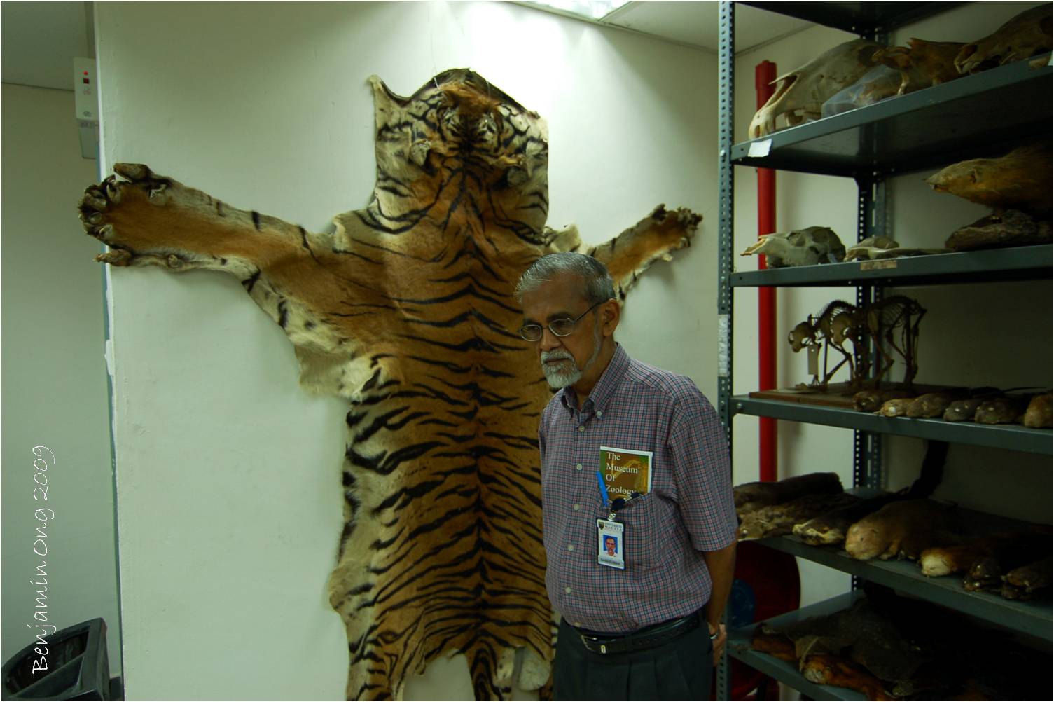 [tiger.jpg]