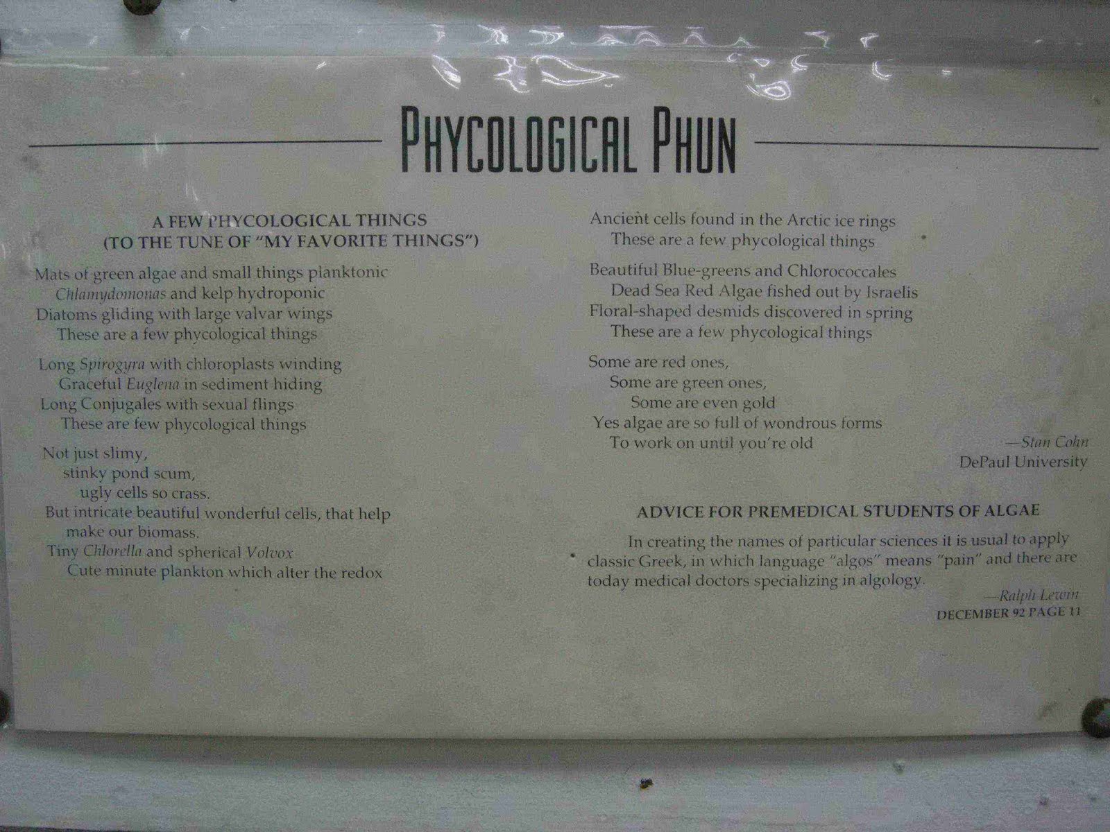 [16+phyco.JPG]