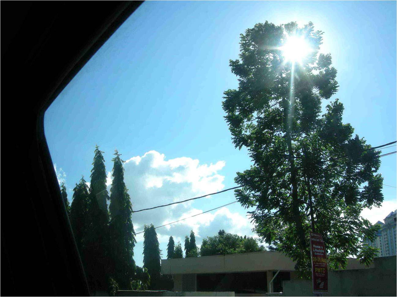 [14+sunstar.JPG]
