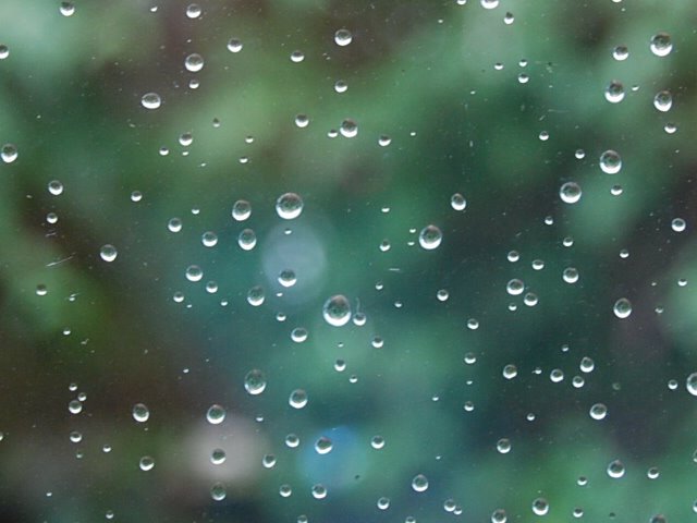 [Rain+on+window.JPG]