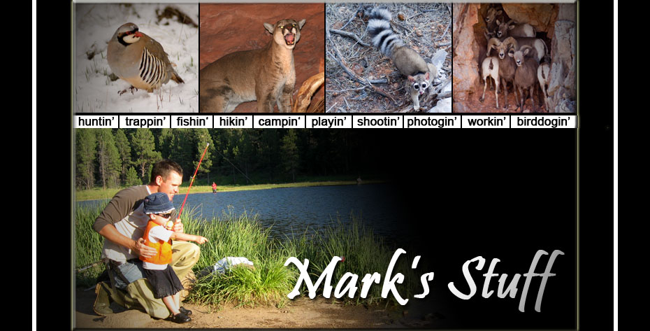 Mark
