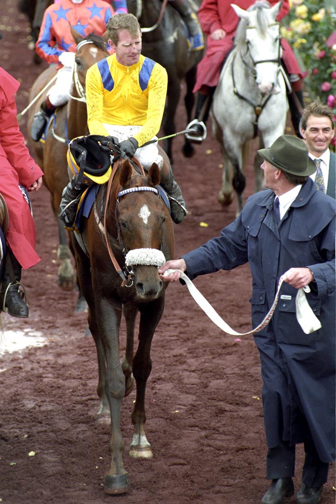 The Image Is Everything August 2010