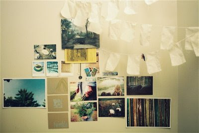 Homasote Board