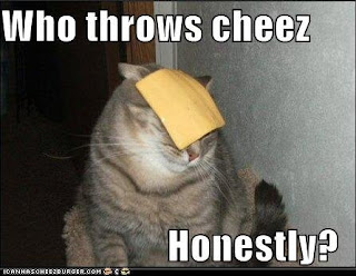 funny+cheese+cat.bmp
