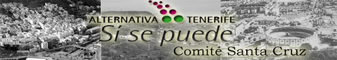 Alternativa si se puede por Tenerife, comité de Santa Cruz (en prensa)