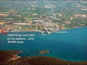 ΠΩΛΟΥΝΤΑΙ παραθαλασσια οικοπεδα ΕΝΤΟΣ ΣΧΕΔΙΟΥ , ΕΚΠΤΩΣΗ 28%,απο 37.000 euro, 140 μ απο την θάλασσα.