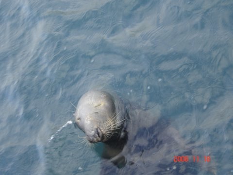 [DSC07840.JPG]