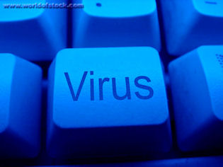 [virus.jpg]