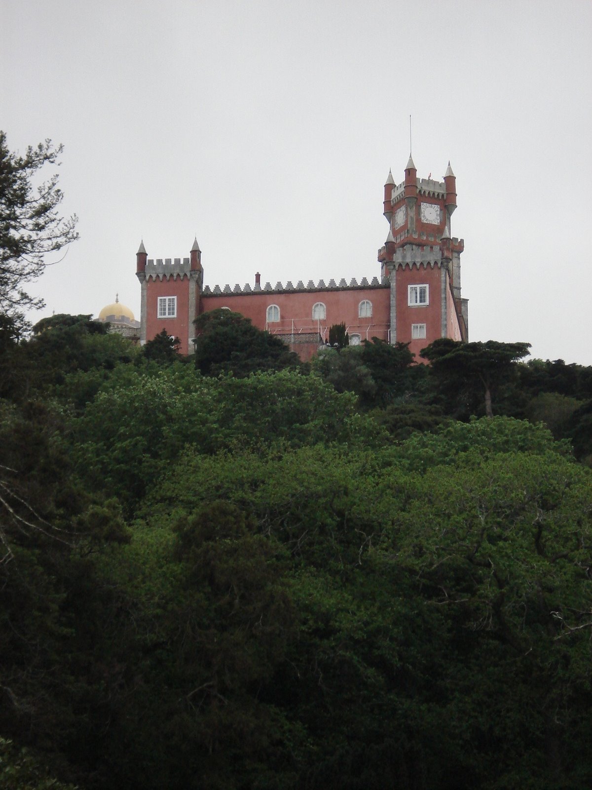 [DSC02368.JPG]
