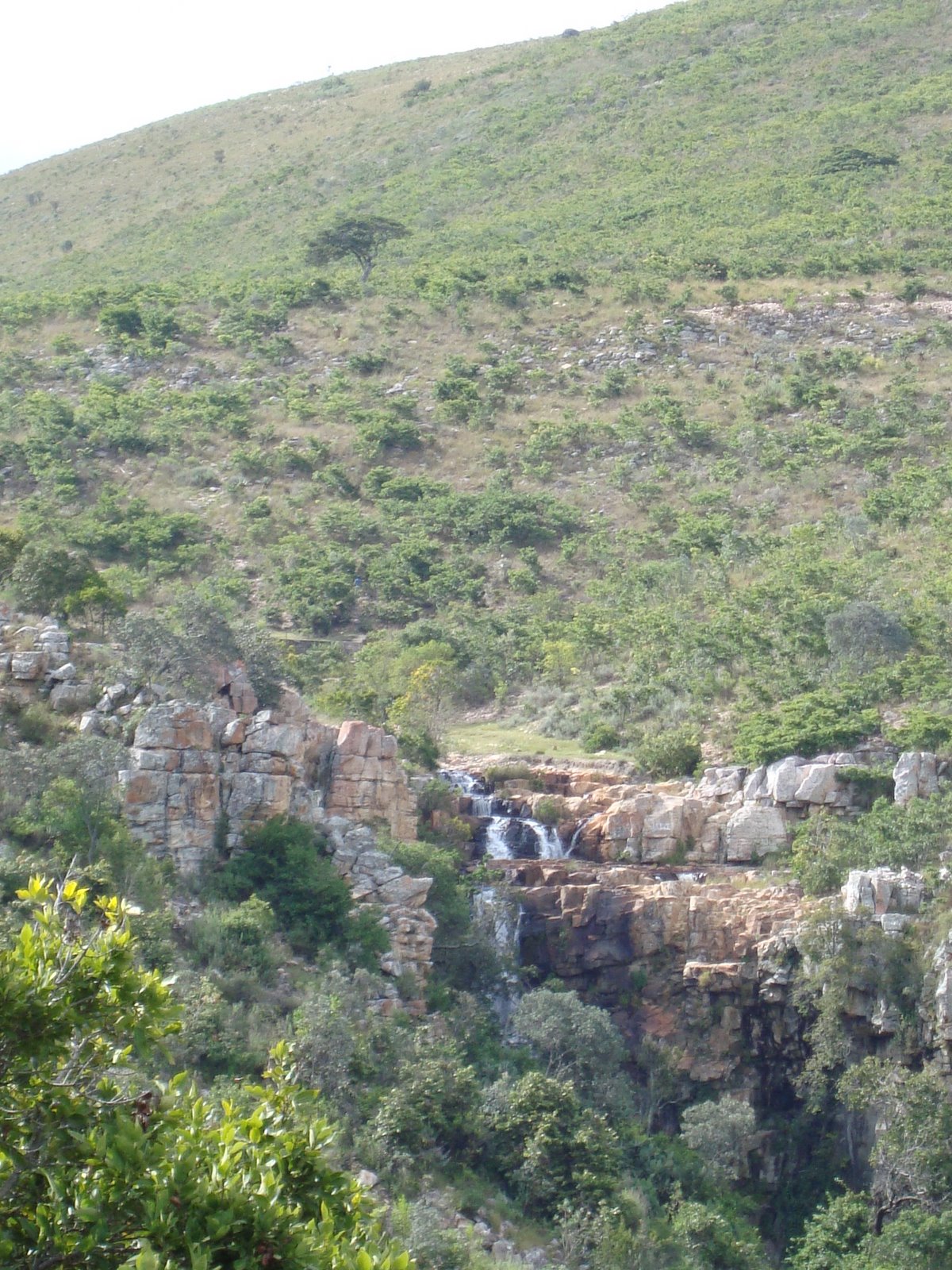 [DSC00161.JPG]