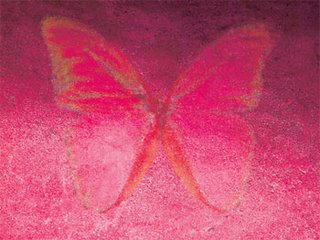 [Lente+Louisa,+Red+Butterfly.jpg]
