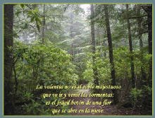 La valentìa no es el roble majestuoso, que ve ir y venir las tormentas;