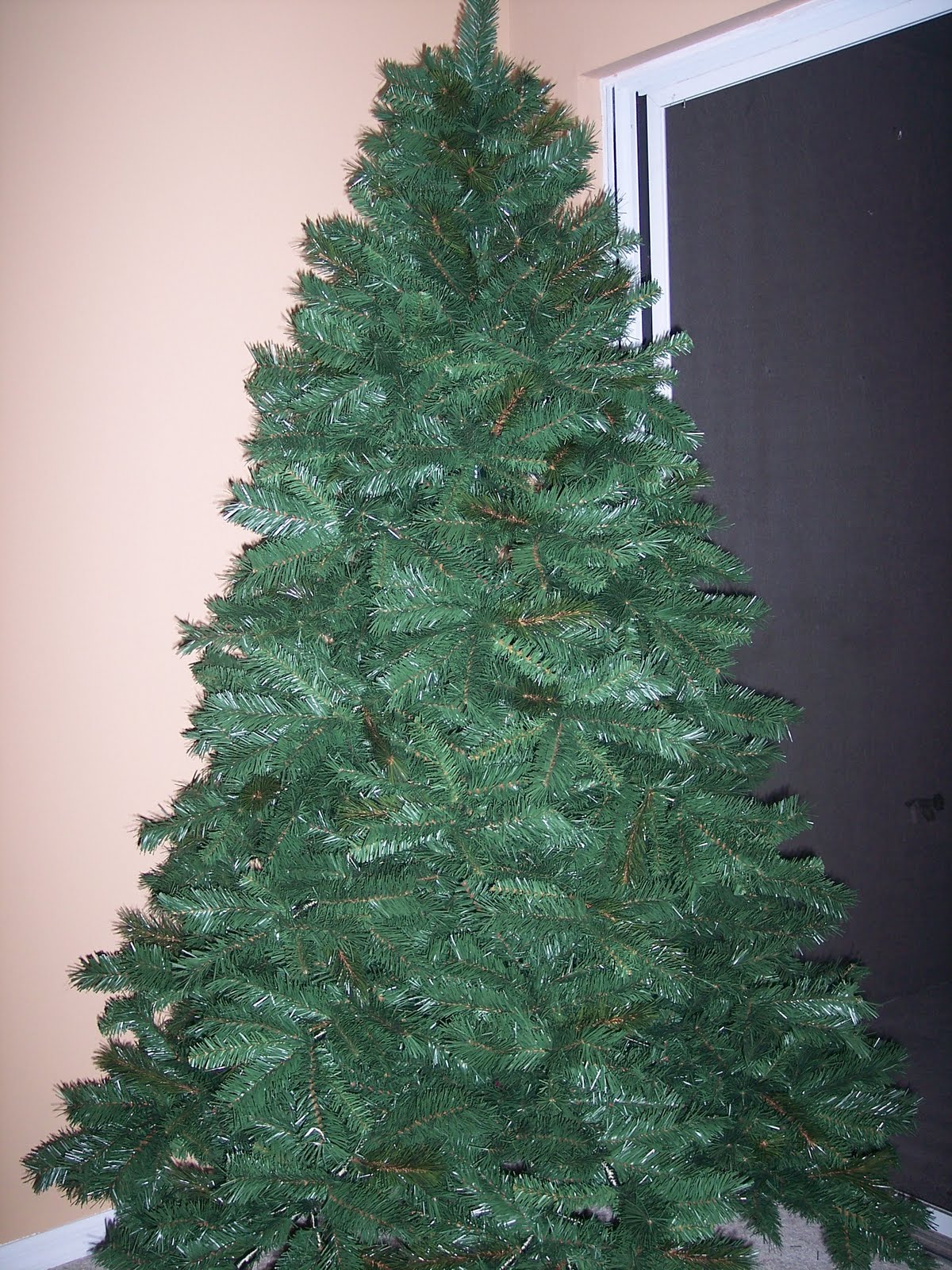 [Christmas2009+002.jpg]