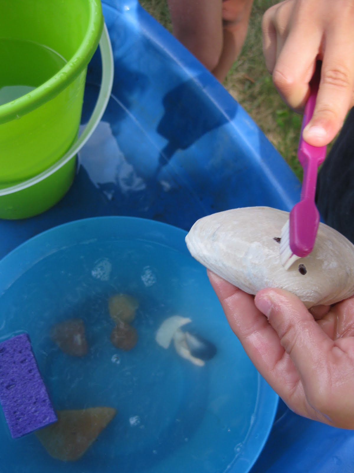 pet rocks, rocks for pets teach mama