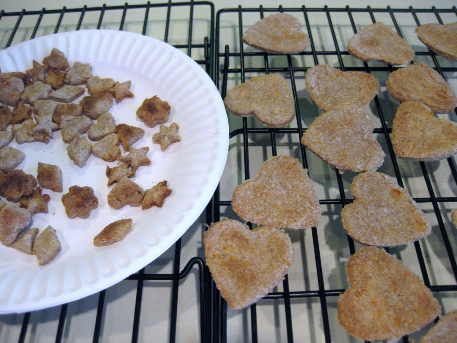 Best Dog Treats