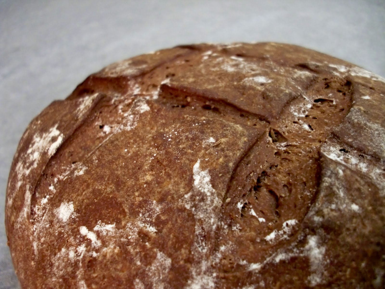 career in the oven dark german rye bread career in the oven dark german rye bread