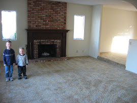 Living Room Remodel