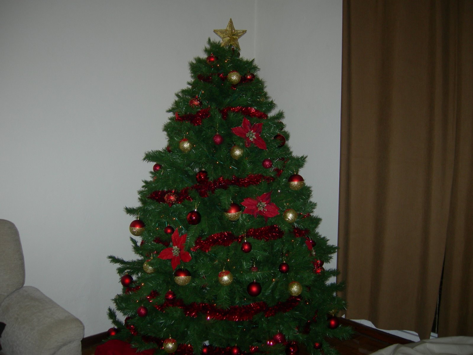 [DSCN0573.JPG]
