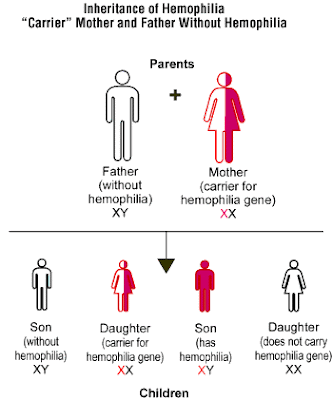 Hemophilia Inheritance