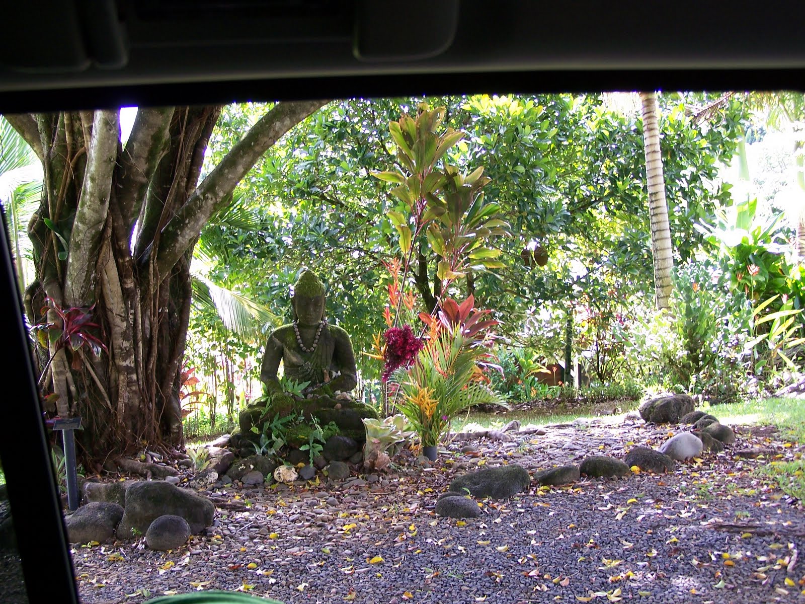 Ghetto Gardens Hawaiian flowers and plants