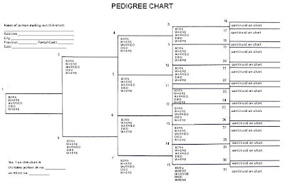 Horse Pedigree Chart Template