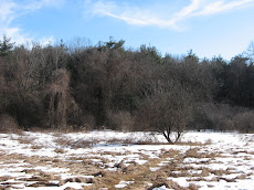 Round Meadow