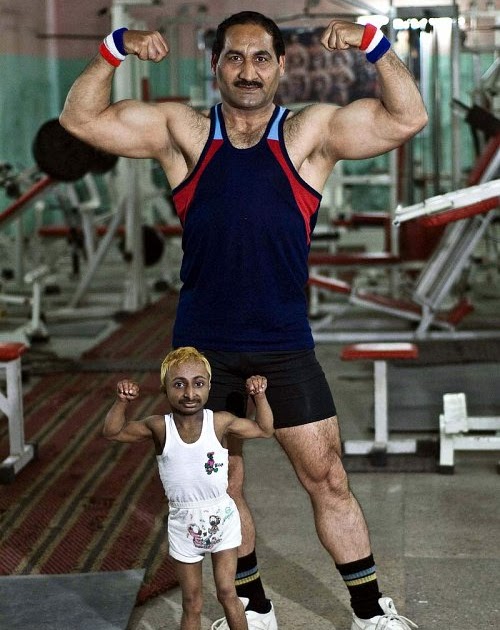 Unduly Annoyed TV Review Dwarf Shows