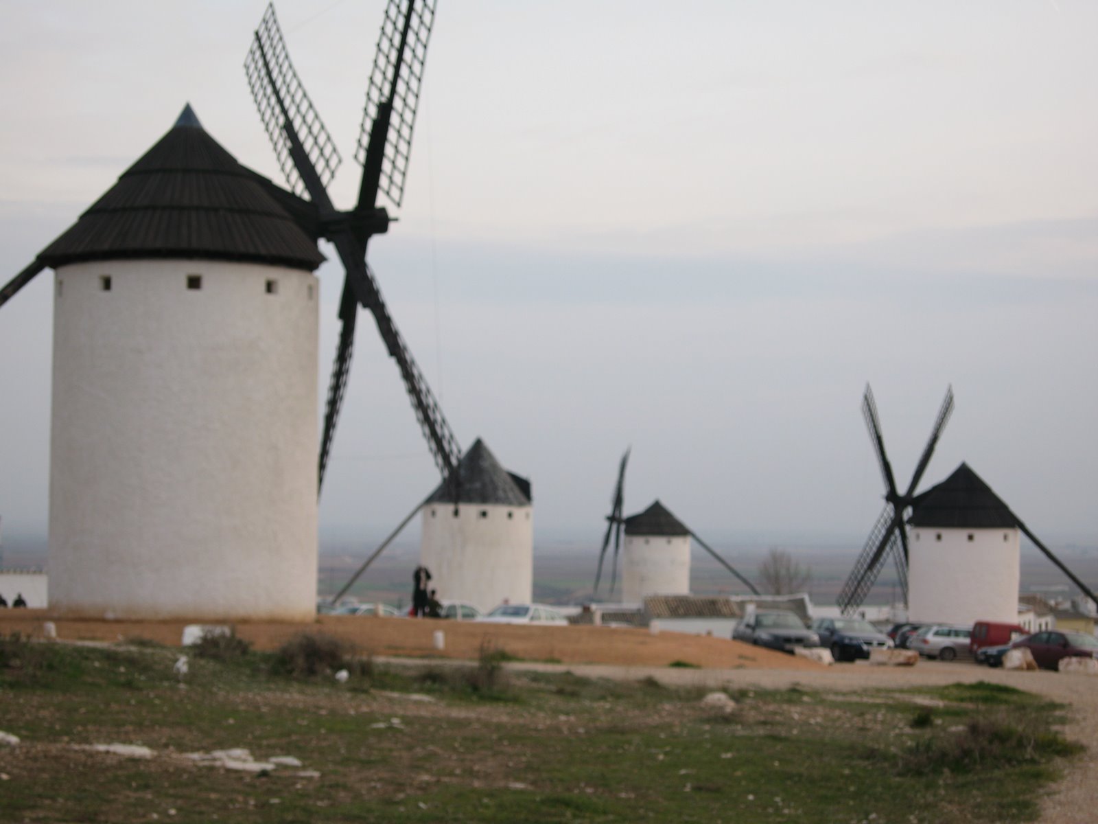 [IMG_7724.JPG]