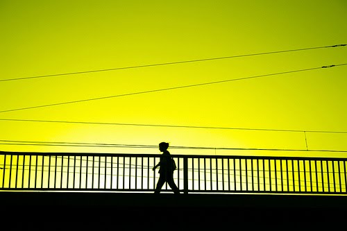 [W.photostream4.jpg]