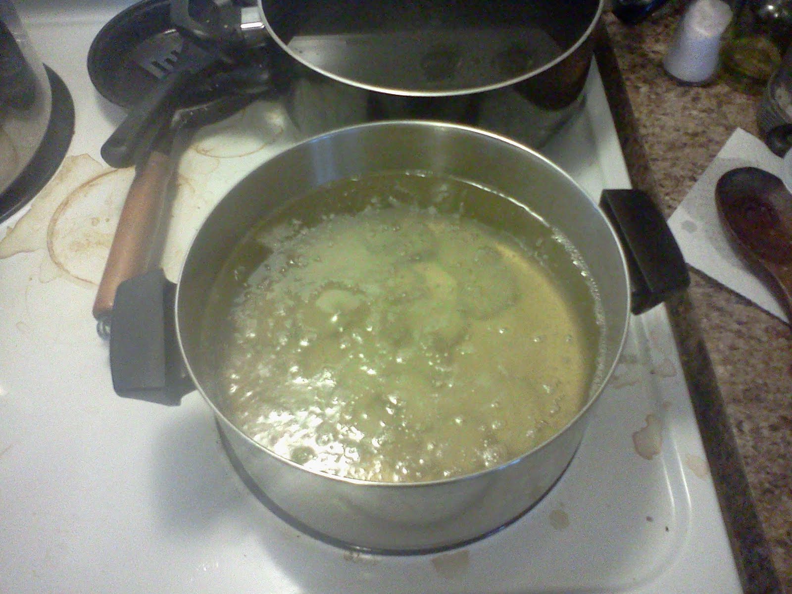 Merseth Morsels Rendering Beef and Venison Tallow