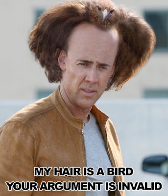 Funny Bird Hair