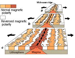 [seafloor.JPG]