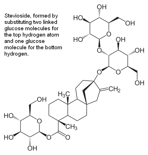 Calorie Shifting Review A Healthy Weight Loss Diet