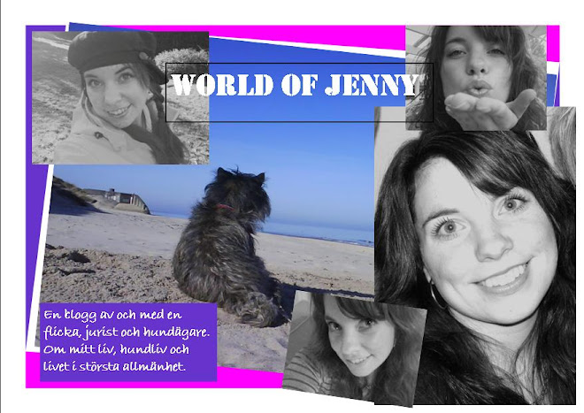 WORLD OF JENNY