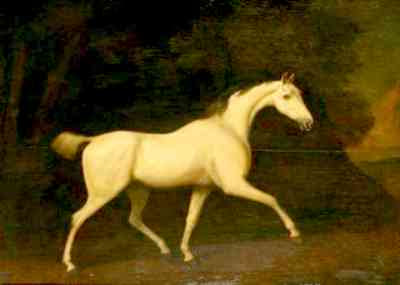 George Stubbs - A Grey Horse (1786) enhanced