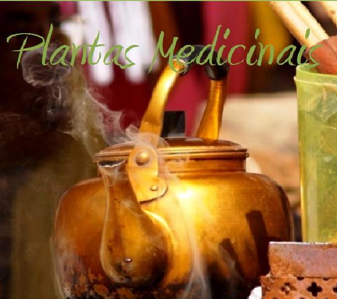 Plantas Medicinais