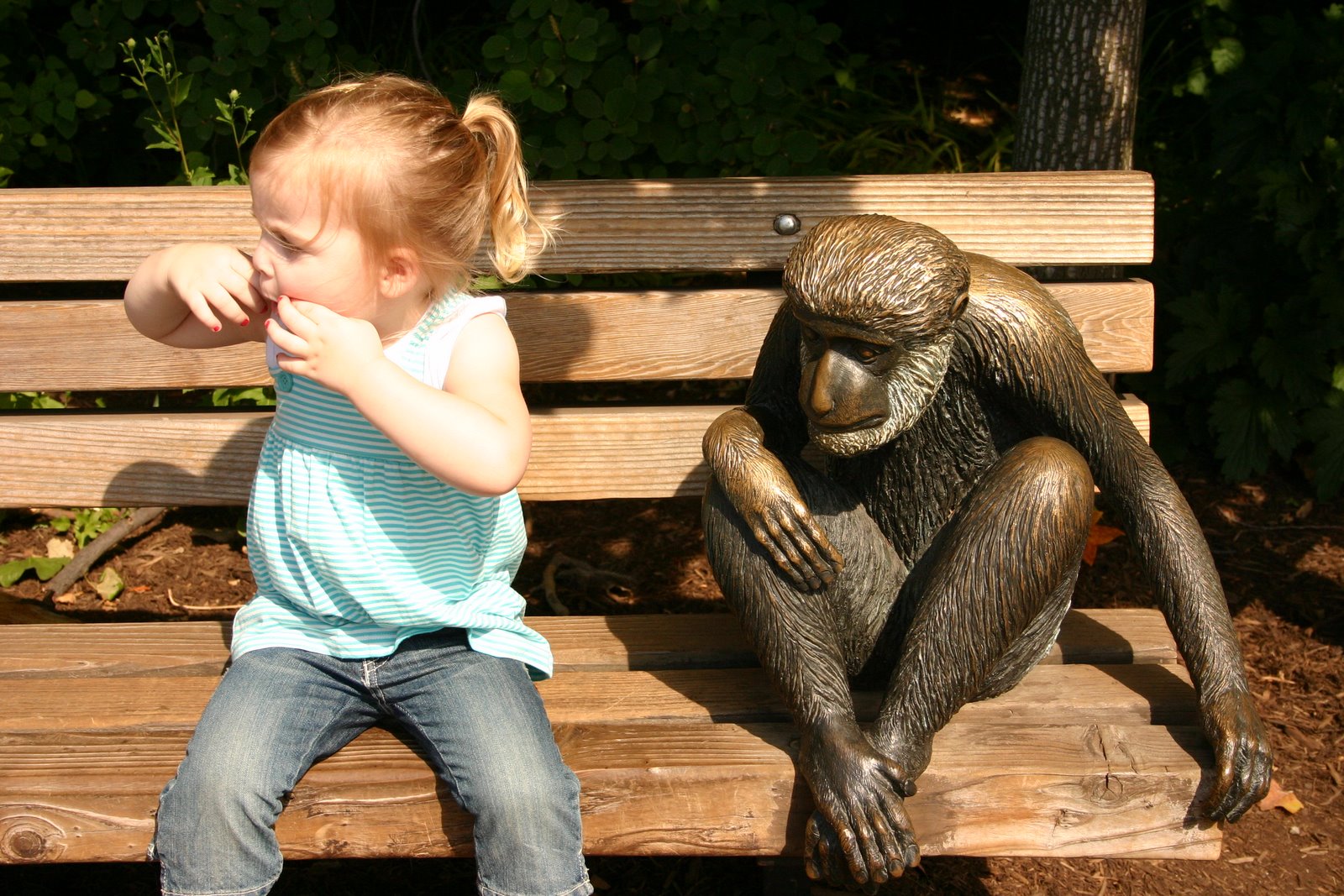 [IMG_7785.JPG]