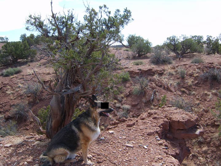 [landscape3.jpg]