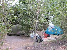 Paduella Campsite in Calvi