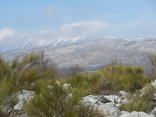 Hike from Tourettes-sur-Loup