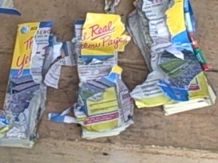 [doublevertical.jpg]