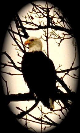 alfred lord tennyson