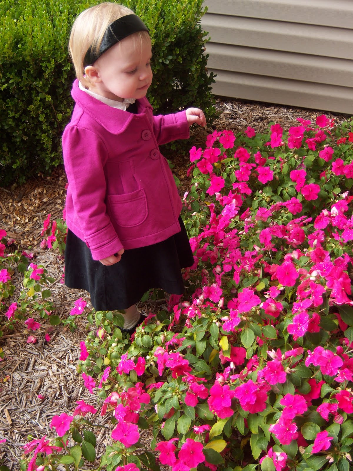Frolicking Through Flowers